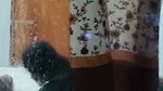 lovers sex video recorded secretly through window  2
