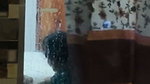 lovers sex video recorded secretly through window  2