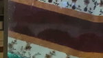 lovers sex video recorded secretly through window  2