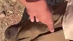 1786869965514