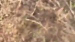 1786869965514