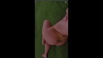 videoplayback 5