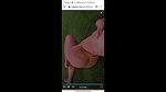 videoplayback 5