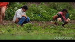village bhabhi pissing in open