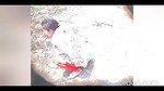 village bhabhi pissing in open