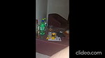 hot girlfriend crying while fucking hard in hotel room