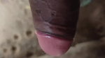 Video call on WhatsApp Girlfriend