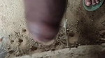 Video call on WhatsApp Girlfriend