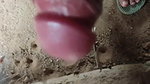 Video call on WhatsApp Girlfriend