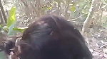 jungle mein gf ke sath