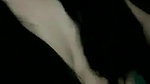 Horny Girl Exposing Her Nude