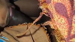 Wife Blowjob and Cum
