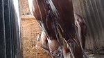 Hot bhabhi showing  taking bath