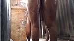 Hot bhabhi showing  taking bath