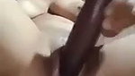 Sexy girl drilling pussy with big brinjal