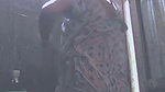 Village Bengali bhabhi showing her boobs in transparent dress