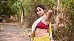 Diva parna In a wind A yellow saree parna