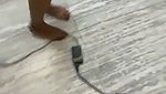 Boyfriend rubing gf pussy  enjoying