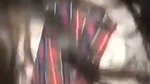 Hot girlfriend giving Blowjob