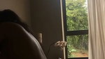 submissive girl blowjob and squirts hard for money