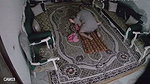 Desi sex hot