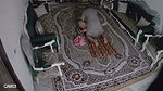 Desi sex hot