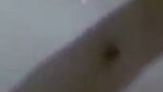 gf fucked
