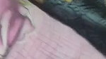 hairy pussy show