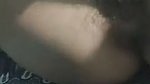 hairy pussy show