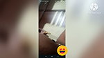 km 20260819 1080p 30f 20260819 235309