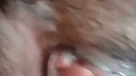 1000131879