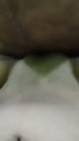 Frame 6