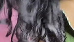 Angori Bhabhi Bengali Husband Wife Fucking Ass