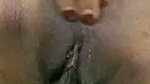 pussy fuck with carrot
