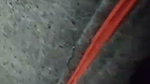 hairy pussy gf fucked