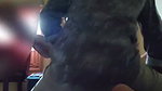 Unsatisfied Mature Aunty Affair with husband Friend