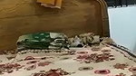 Boyfriend pressing her gf boob hard  enjoying