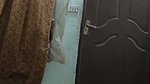 1000285269