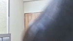 Stripchat girl show 20260822 073104 1