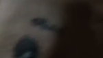 dusky gf fucked