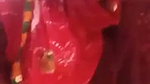 dehati bahbhi nude show