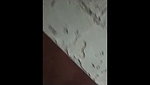 bath video of desi girl