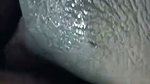 shower sex with gf