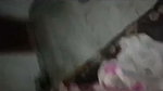 fun with drunk girl