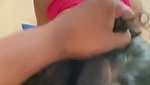 bj di gf ne