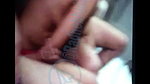 New Year Ruks 3Some $ex Live  _1