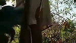 Aunty fuck with two nephew in jungle