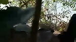 Aunty fuck with two nephew in jungle