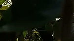 Aunty fuck with two nephew in jungle