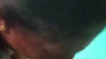 Mature mami suck cock